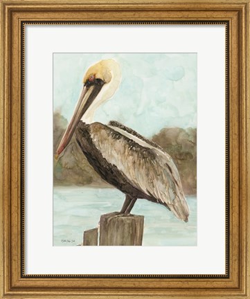 Framed Brown Pelican 3 Print