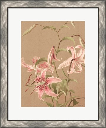 Framed Antique Botanical Collection 3 Print