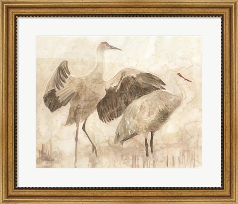 Framed Sandhill Cranes 2 Print
