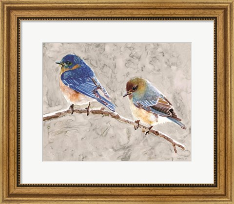 Framed Eastern Bluebirds 1 Print
