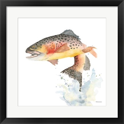 Framed Cutthroat Trout Print