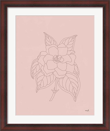 Framed Gardenia Line Drawing Pink Print