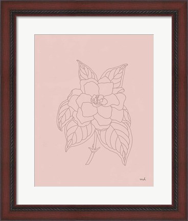 Framed Gardenia Line Drawing Pink Print