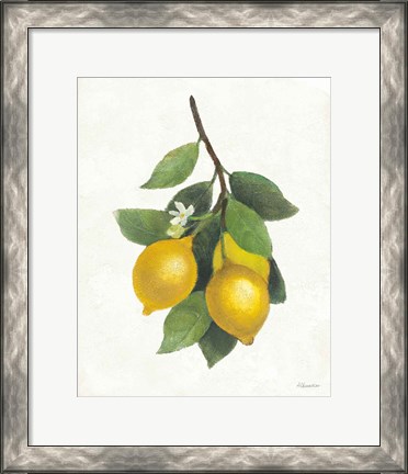 Framed Lemon Branch III Print