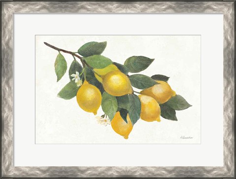 Framed Lemon Branch I Print