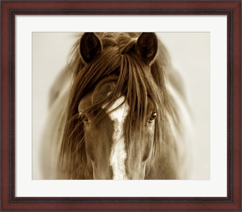 Framed Ghost Horse Print
