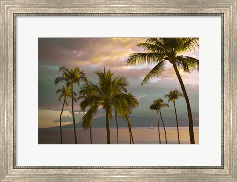 Framed Hawaii Palm Sunset No. 1 Print