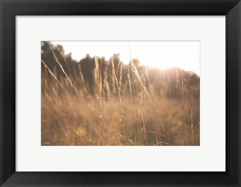 Framed Bright Sun Haze II Print