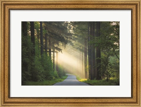 Framed Road Print