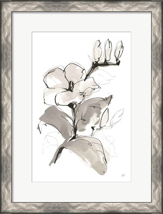Framed Magnolia II Print