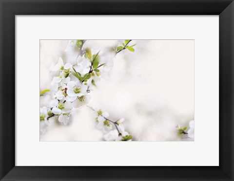 Framed First White of Spring Print