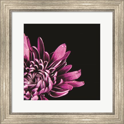 Framed Love Intertwined I Print
