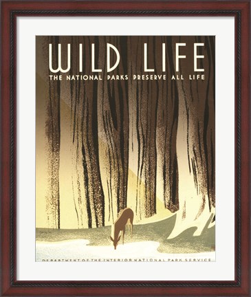 Framed Wild Life Print