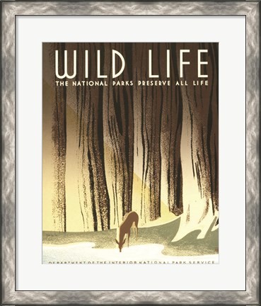 Framed Wild Life Print