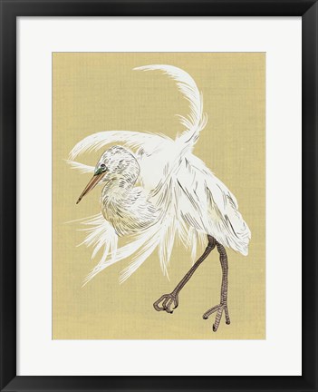 Framed Heron Plumage VI Print