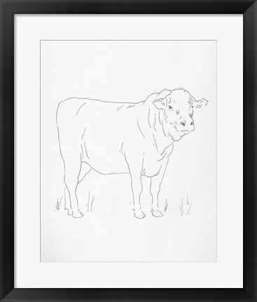 Framed Limousin Cattle I Print