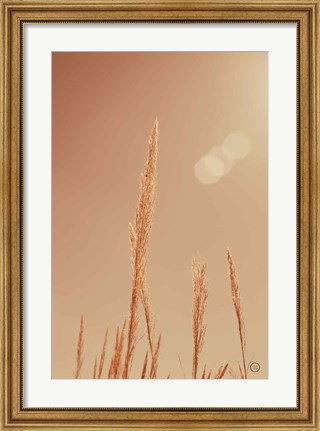Framed Noon Grasses I Print