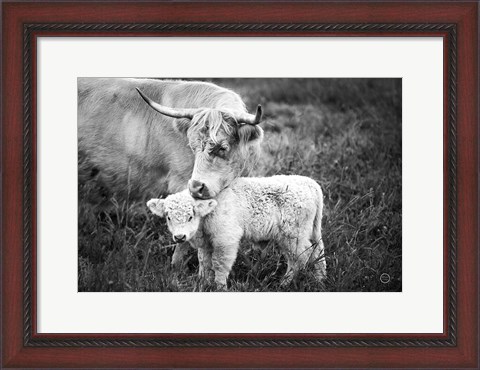 Framed Cow Care Print