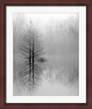 Framed Lake Trees in Winter Fog Print