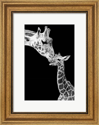 Framed First Love - Giraffe Print