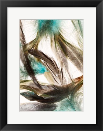 Framed Floating Feathers Print