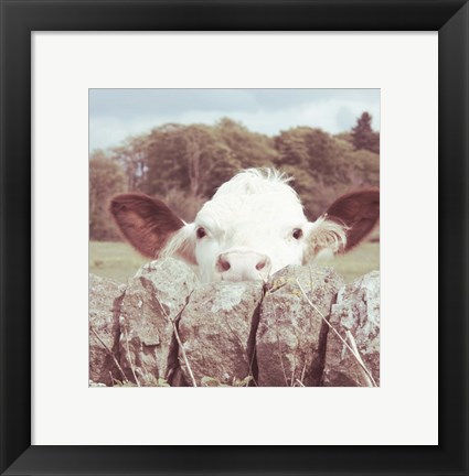 Framed Peek-a-Boo Cow Print