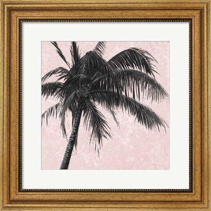 Framed Gray Palm on Pink I Print