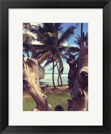 Framed Oceanside Palms Print