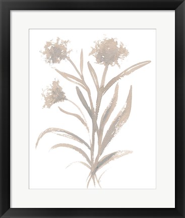 Framed Beige Herb II Print