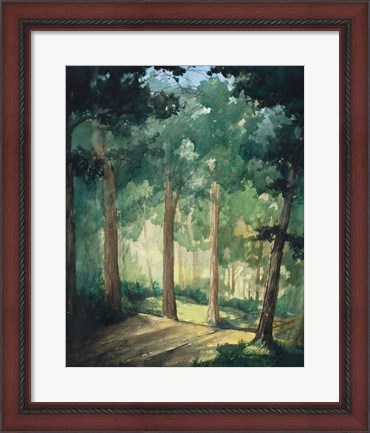Framed Walk In The Woods Print