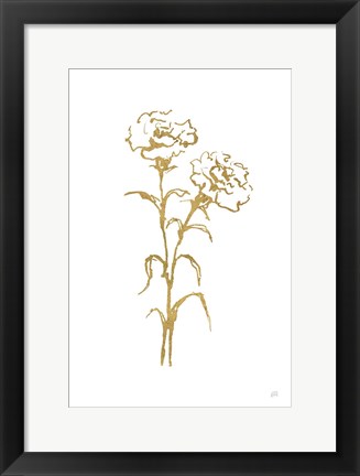 Framed Gold Line Carnation II Print