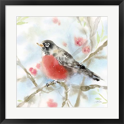 Framed Spring Robin Print