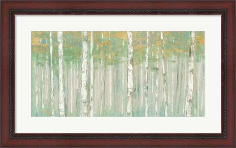 Framed Birchs at Sunrise Gold Crop Print