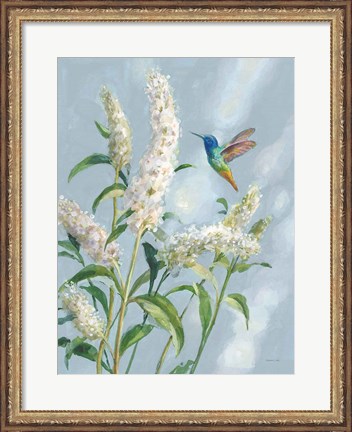 Framed Hummingbird Spring II Soft Blue Print