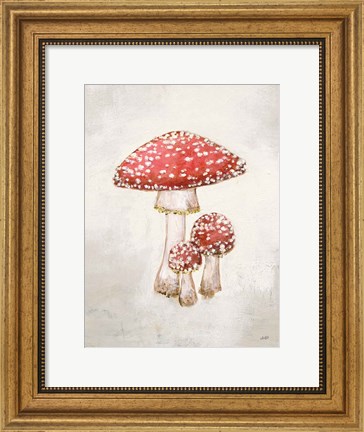 Framed Woodland Mushroom II Print