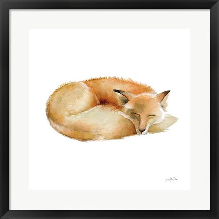 Framed Sleeping Fox on White Print