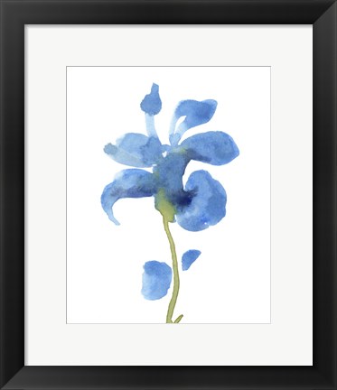 Framed Striking Blue Iris III Print