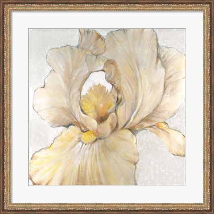 Framed Iris Cream I Print