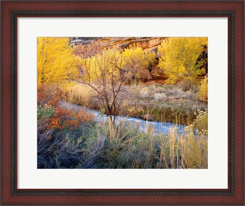 Framed Autumn Chaos Along The Fremont Print