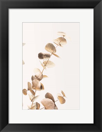 Framed Eucalyptus Gold No 3 Print
