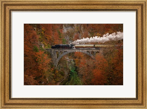 Framed Museum Train Print