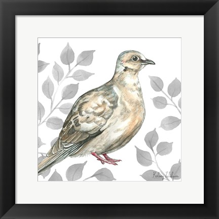 Framed Backyard Birds V-Mourning Dove Print