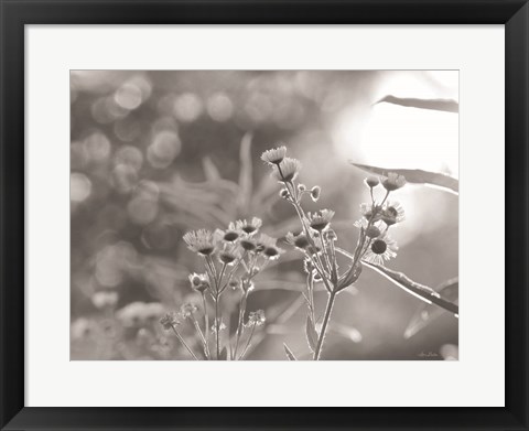 Framed Wild Flowers III Print