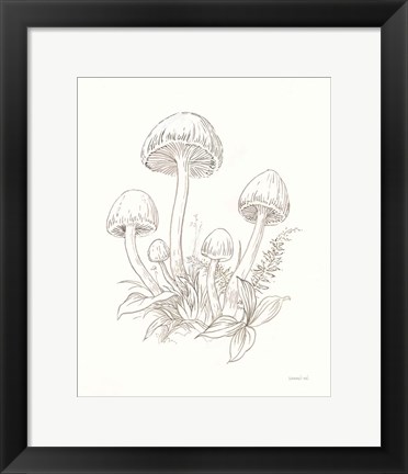 Framed Nature Sketchebook IX Print