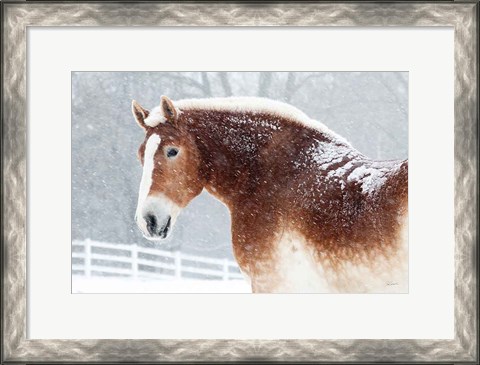 Framed Snowy Draft Horse Print