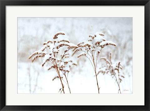 Framed Snowy Gardens Print
