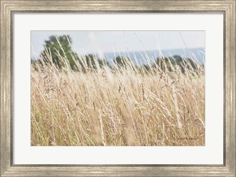 Framed Summer Field I Print