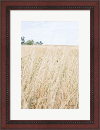 Framed On the Edge III Print