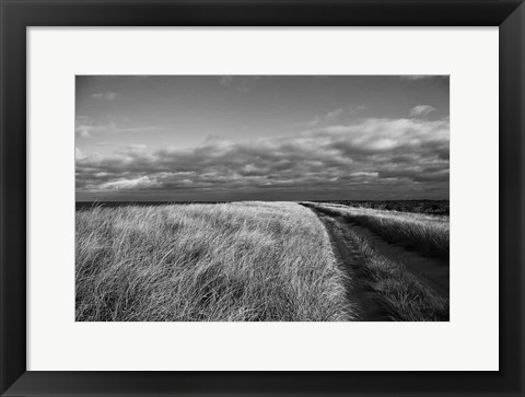 Framed Road to the Beach Print