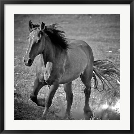 Framed Horse Runner Print